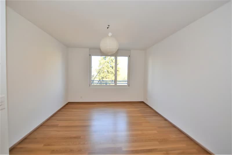 Helle 4.5-Zimmer-Wohnung mit Balkon und Garage in Basel (1)