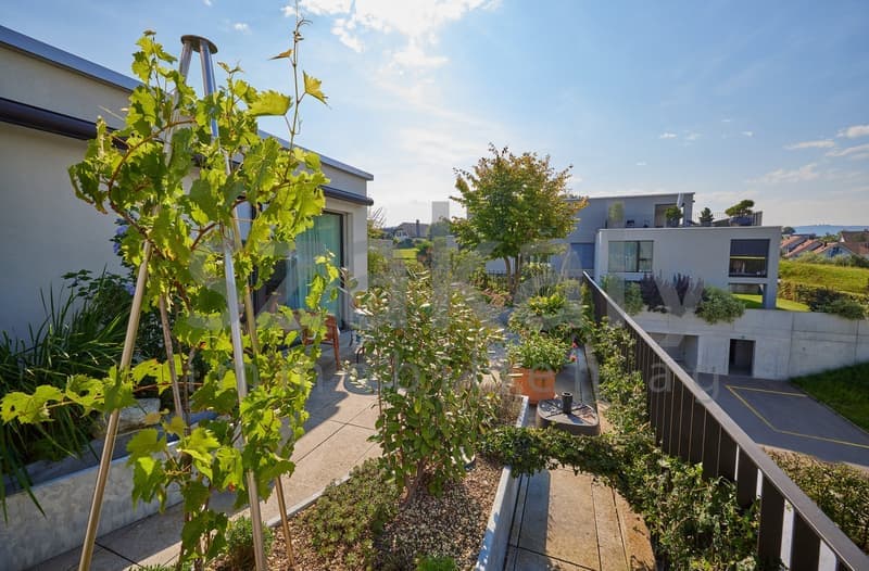 Luxuriöse 5½-Zimmer-Attikawohnung mit Panoramaterrasse (19)