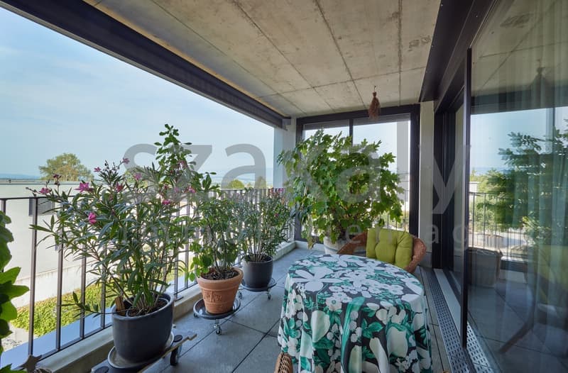Luxuriöse 5½-Zimmer-Attikawohnung mit Panoramaterrasse (6)