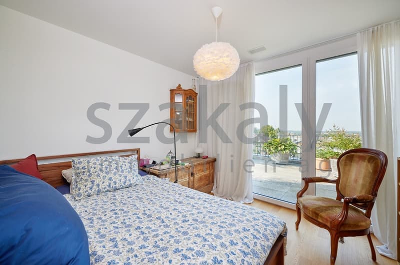Luxuriöse 5½-Zimmer-Attikawohnung mit Panoramaterrasse (4)