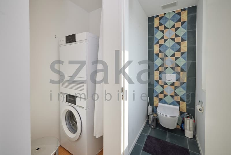 Luxuriöse 5½-Zimmer-Attikawohnung mit Panoramaterrasse (15)