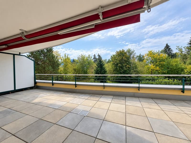 terrasse.png
