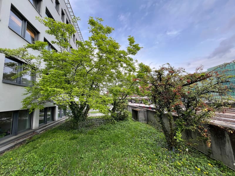 Multi-story building with large windows, surrounded by lush greenery including trees and grass. There appears to be a balcony or terrace visible.