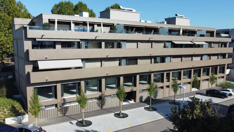 Schöne Singlewohnung in Küsnacht (1)