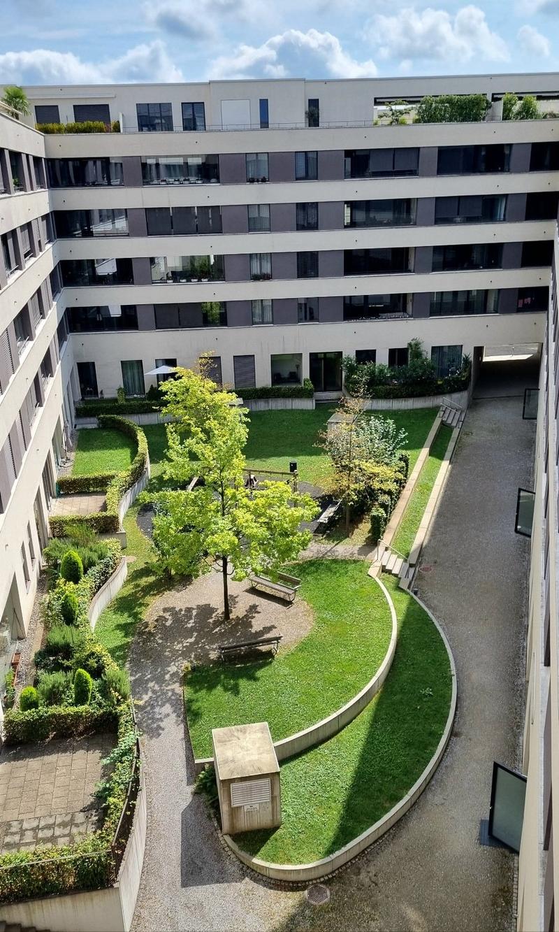 Helle 3.5-Zimmer-Wohnung mit Balkon in Wallisellen – sofort verfügbar! (15)