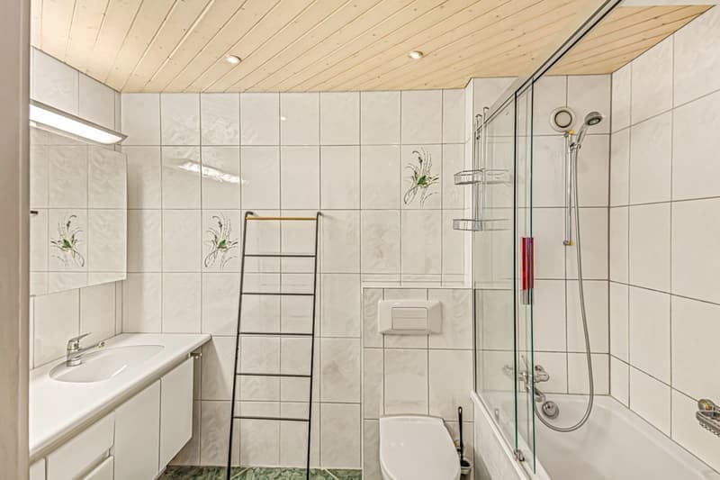 Charmante 3,5 Zimmer-Wohnung an bevorzugter Lage (8)