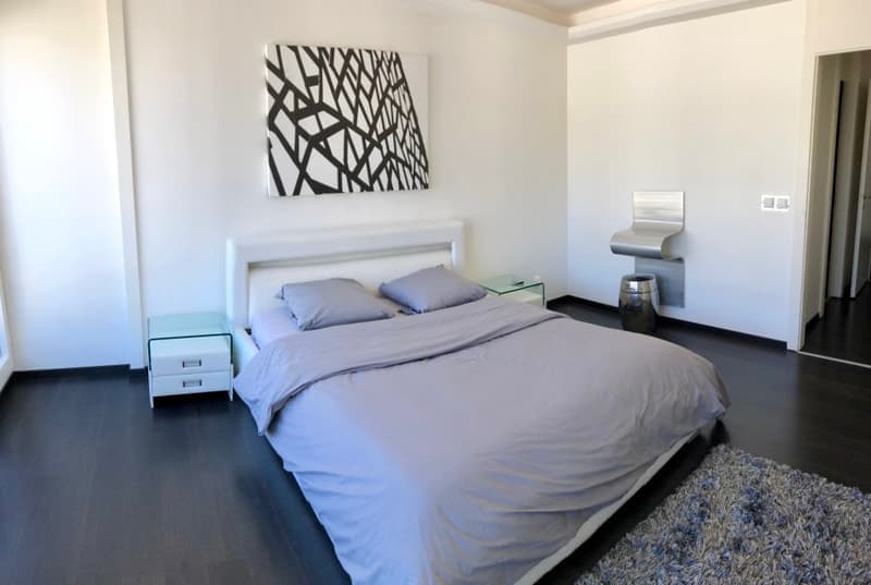 Superbe appartement meublé de standing (3)