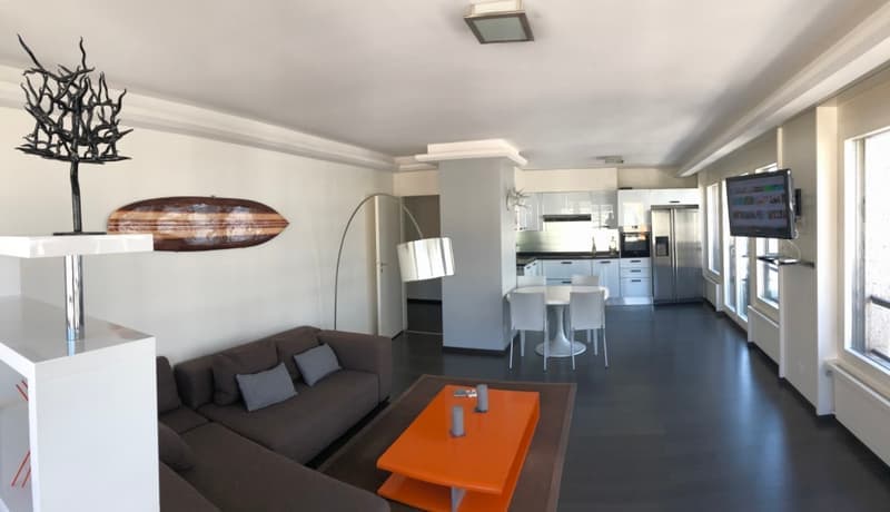 Superbe appartement meublé de standing (13)
