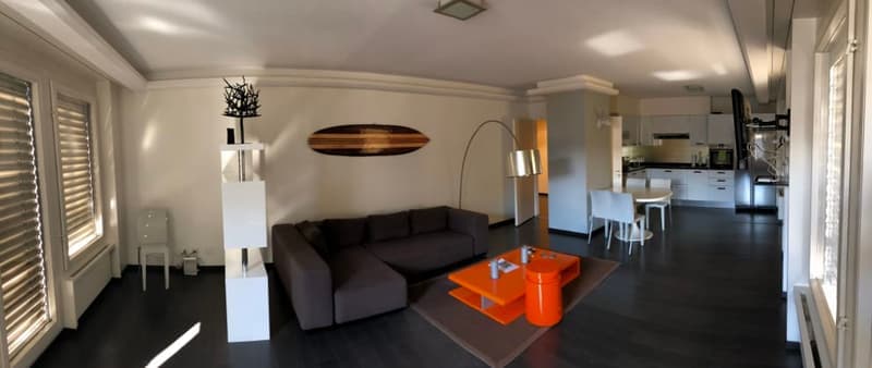 Superbe appartement meublé de standing (6)