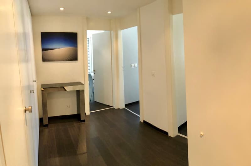 Superbe appartement meublé de standing (5)