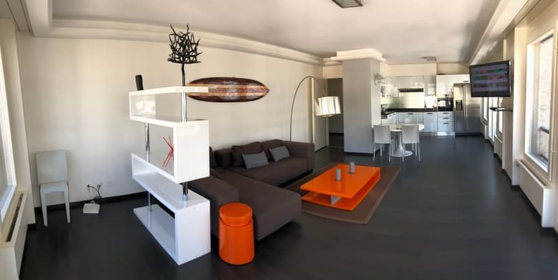 Superbe appartement meublé de standing (12)