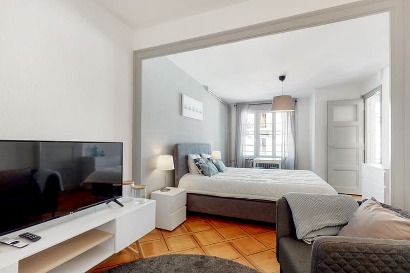 Bel appartement meublé au coeur d'un quartier animé (8)