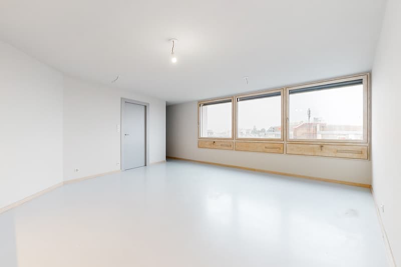 Appartement lumineux de 4.5 pièces à Nyon, disponible immédiatement (1)