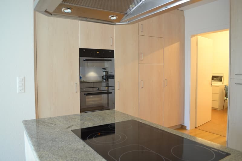 Charmante 2.5-Zimmer-Wohnung mit Balkon und Waldblick in Küsnacht (11)