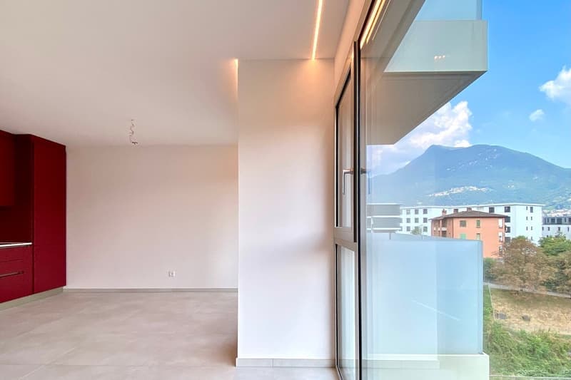 Appartamento di 2.5 locali con balcone a Massagno (2)