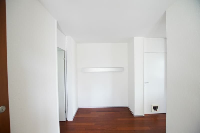 Grosszügige 4.5-Zimmer-Wohnung mit Panoramaterrasse in Brugg (15)
