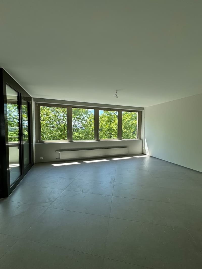 Helle 4.5-Zimmer-Wohnung mit Balkon und Garage in Steinhausen (16)
