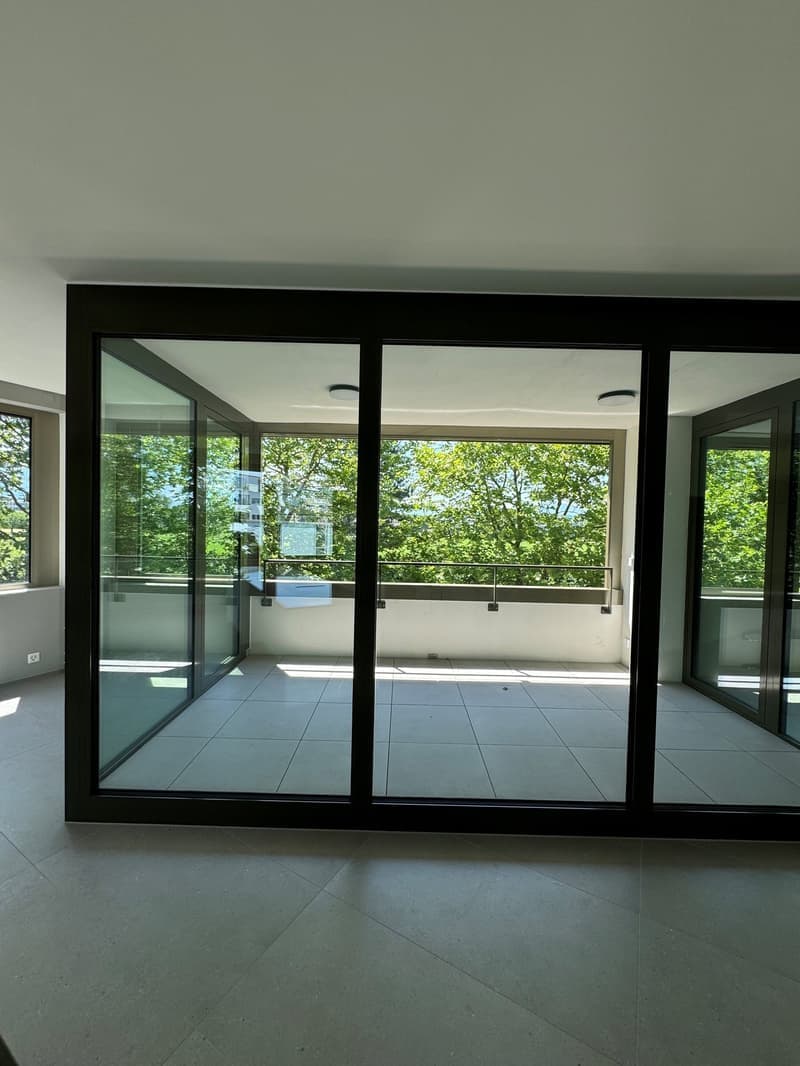 Helle 4.5-Zimmer-Wohnung mit Balkon und Garage in Steinhausen (4)