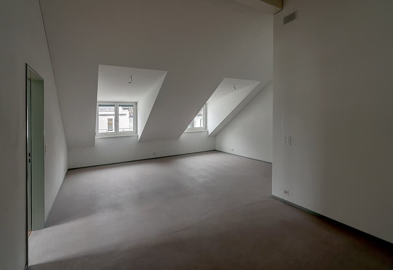 4.5 Zimmerwohnung (4)
