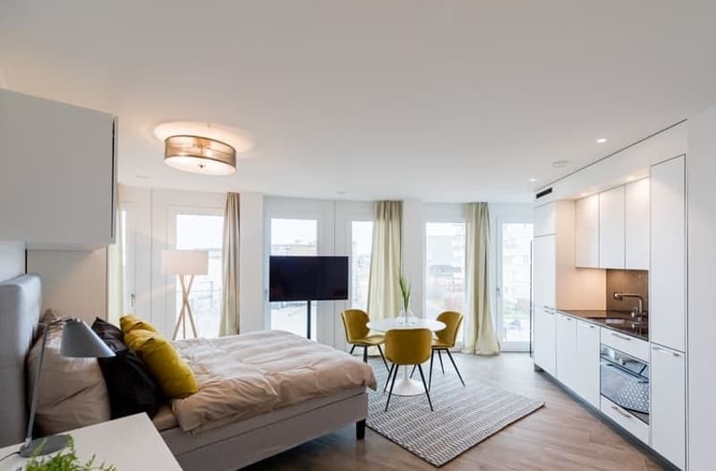 Moderne 1.5-Zimmer-Wohnung mit Balkon in Dübendorf – ab sofort verfügbar! (4)