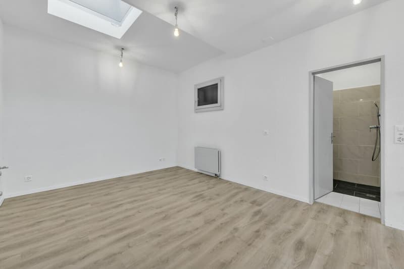STUDIO IN EFFRETIKON: IHR NEUER ARBEITSPLATZ (3)