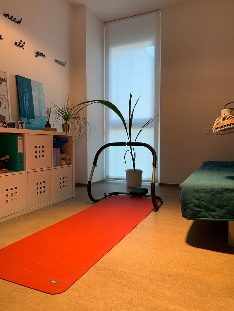Attico con terrazza sul tetto Bellinzona 4.5 locali (2)