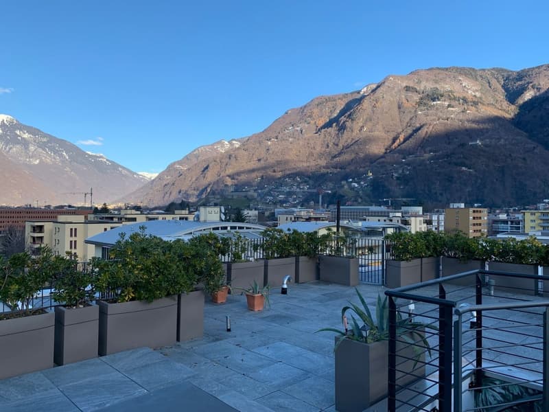 Attico con terrazza sul tetto Bellinzona 4.5 locali (1)