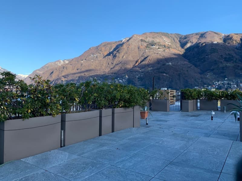 Attico con terrazza sul tetto Bellinzona 4.5 locali (3)