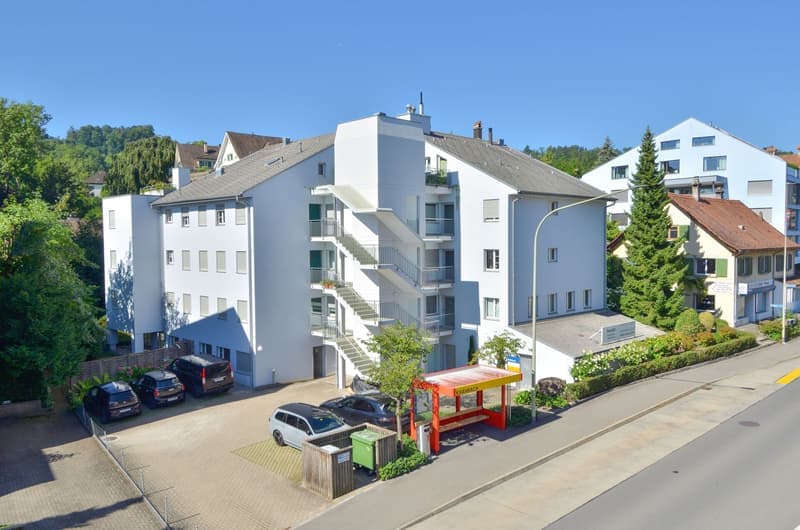 Sonnige 2.5-Zimmer-Wohnung mit Balkon und Seeblick in Wädenswil (6)