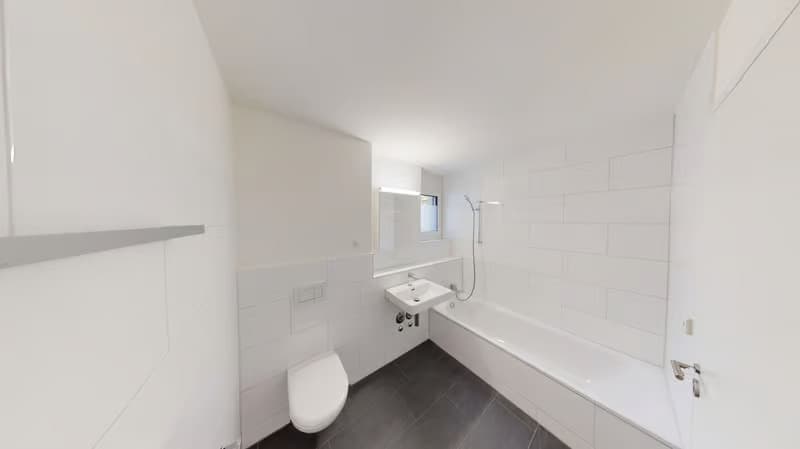 Helle 2.5-Zimmer-Wohnung mit Balkon in Dietikon – sofort verfügbar! (6)