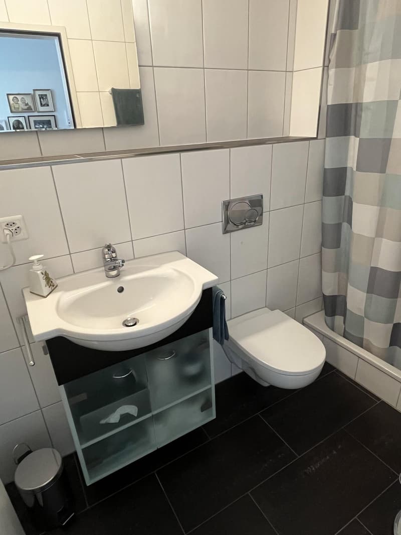 Helle 5-Zimmer-Wohnung mit Balkon und Bergpanorama in Aarau (6)
