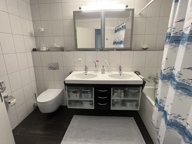 Helle 5-Zimmer-Wohnung mit Balkon und Bergpanorama in Aarau (8)