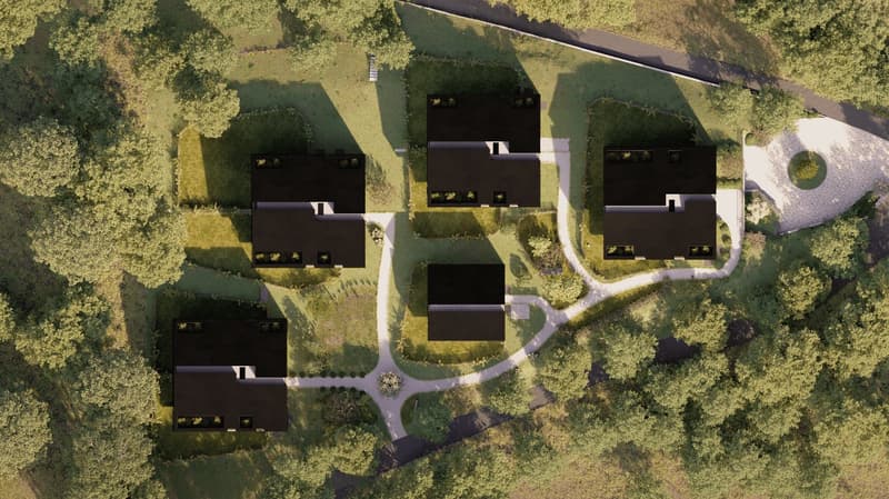 Duplex - Residenza the Leaves : una finestra sul bosco (11)