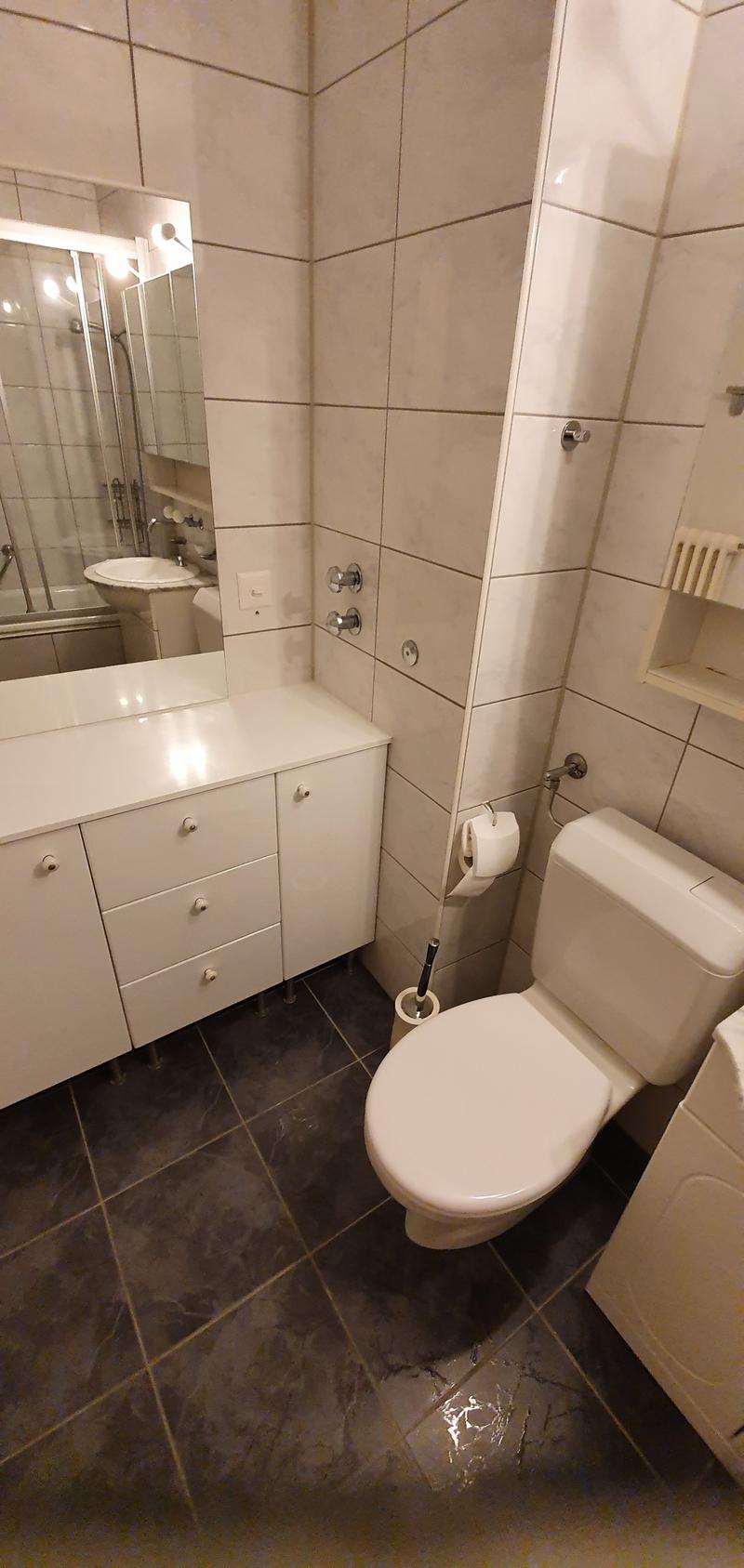 Gemütliche Wohnung mit moderner Ausstattung in der Länggasse (6)