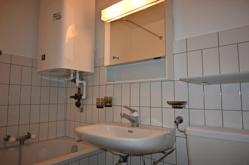 Bright 2.5-room apartment with balcony in Bern-Bümpliz (6)