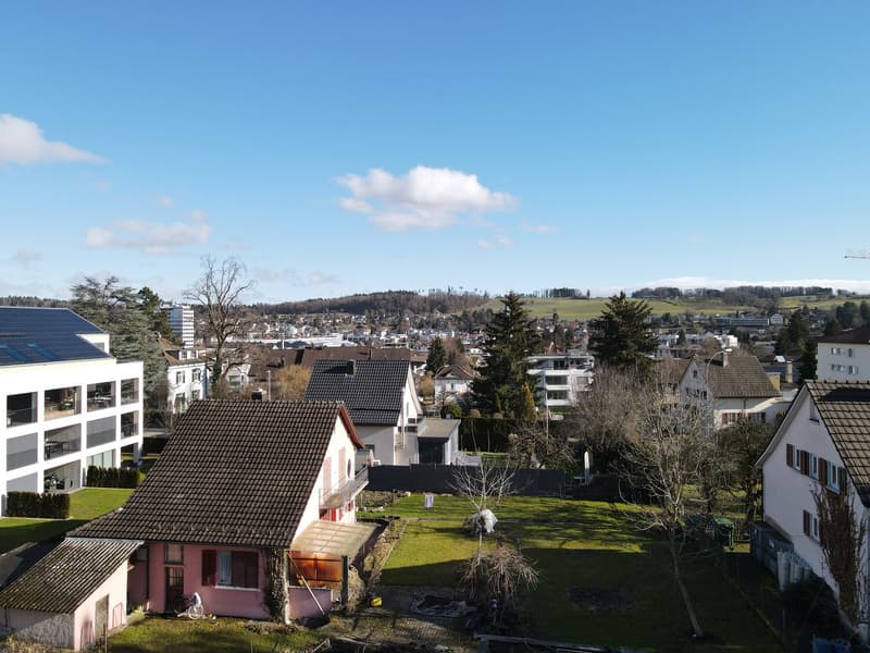 The image shows a panoramic view of a residential area in a town or city. The scene includes a mix of multi-story apartment buildings, single-family homes, and green spaces. The rooftops are predominantly covered with dark tiles, and there are several tre