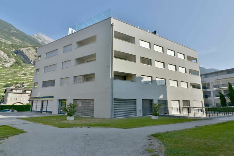 Superbo attico di 4.5 locali nel centro del villaggio (12)