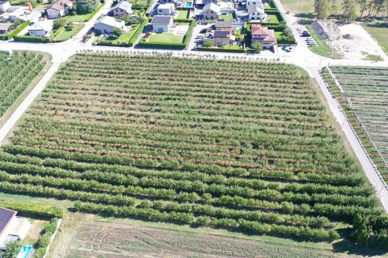 D. - Villa individuelle neuve de 5.5 pces, sur plan - Villa D (12)