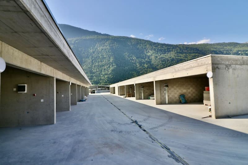 Ilôt des Finettes - Martigny (6)