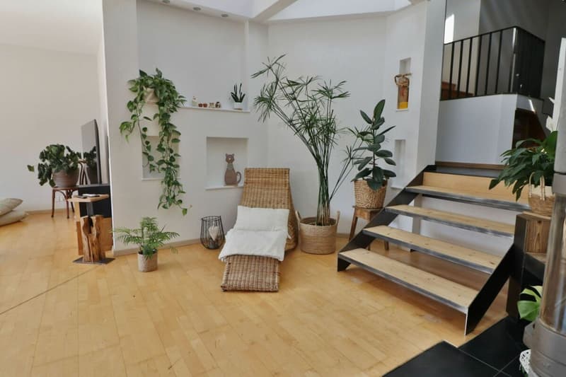 Exclusivité - Magnifique villa individuelle de 6.5 pces 100% autonome en énergie. (1)
