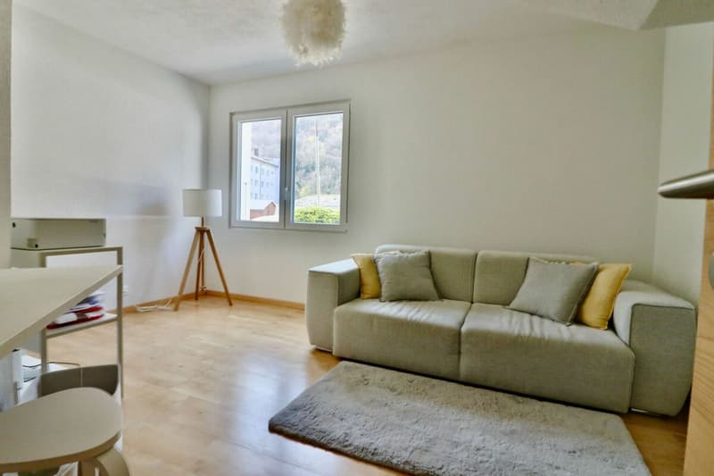 Exclusivité - Magnifique villa individuelle de 6.5 pces 100% autonome en énergie. (6)