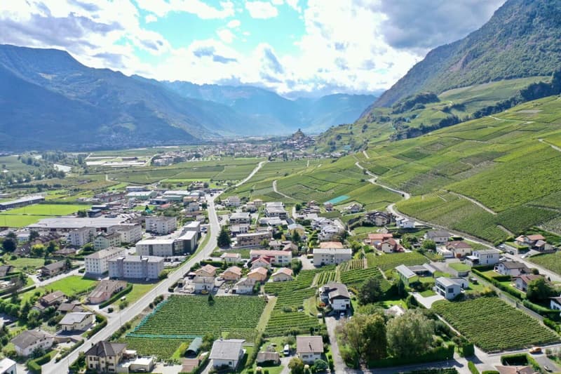 I Vigneti dell'Arca - 4,5 locali in un edificio con 4 appartamenti (16)