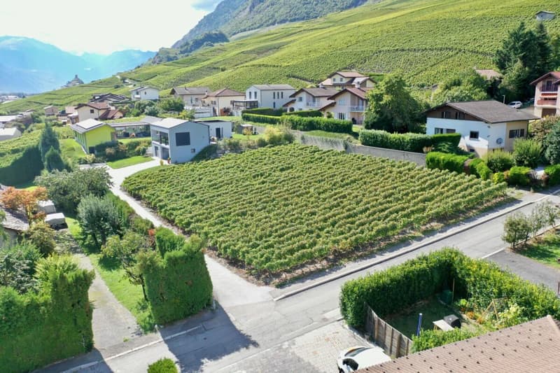 I Vigneti dell'Arca - 4,5 locali in un edificio con 4 appartamenti (14)