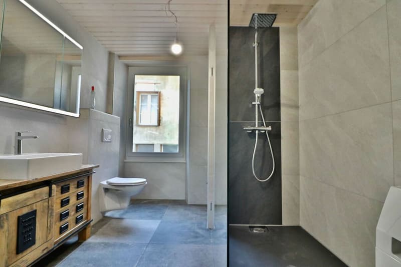 Charrat - 3.5 room apartment renovated in small PPE (8)