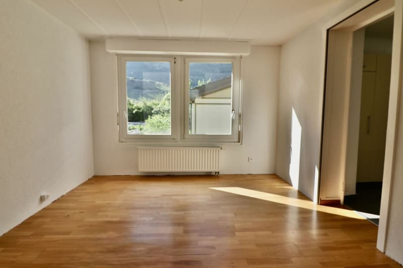 Charrat - 3.5 room apartment renovated in small PPE (4)