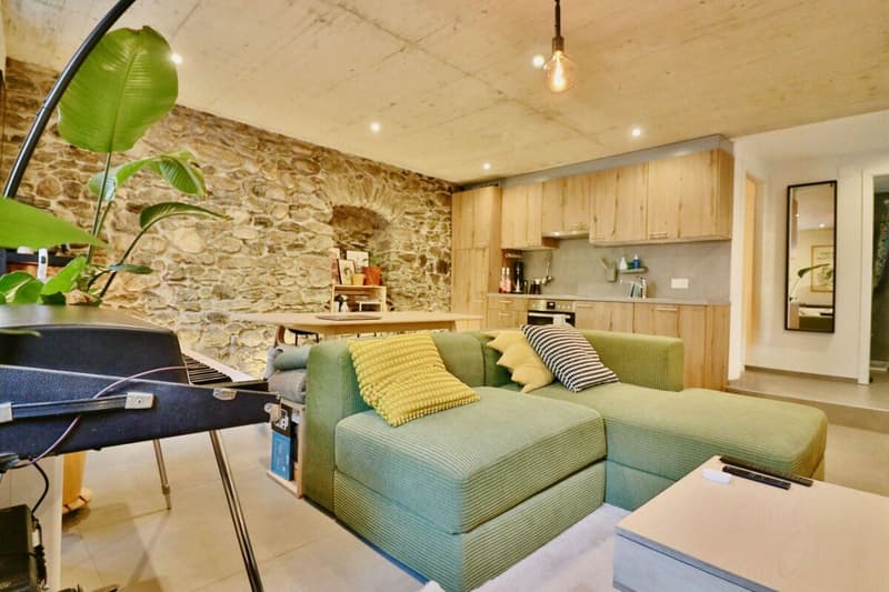 Beautiful 2.5-room apartment completely renovated. (4)