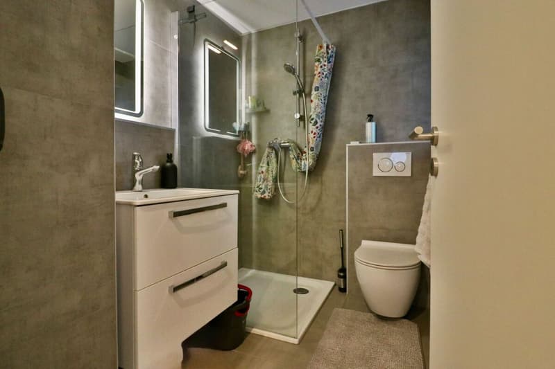 Beautiful 2.5-room apartment completely renovated. (11)