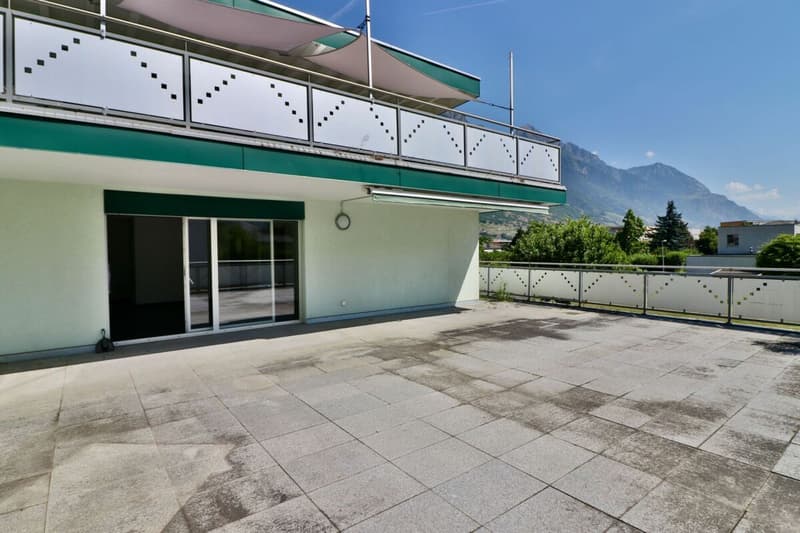 Apartment 3.5 rooms with XXL terrace (10)