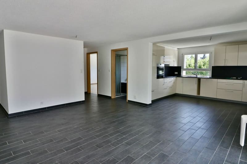 Apartment 3.5 rooms with XXL terrace (3)