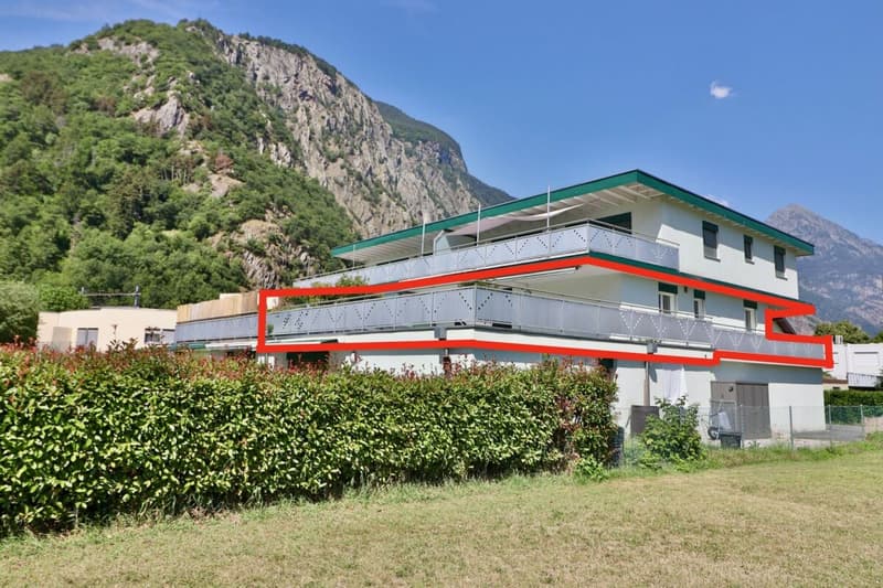 Apartment 3.5 rooms with XXL terrace (11)